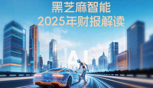 黑芝麻智能2025年财报解读：营收创历史新高，三大业务引擎协同驱动