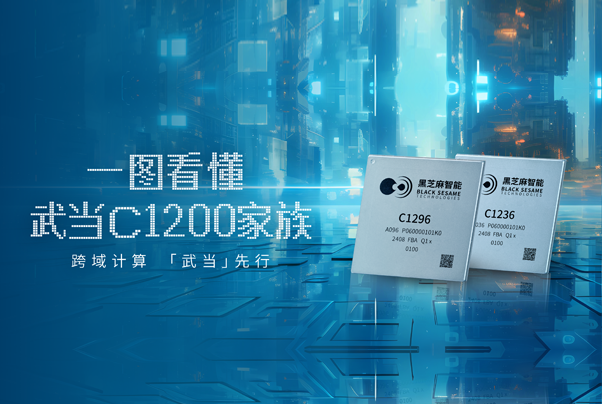 一图看懂武当C1200家族