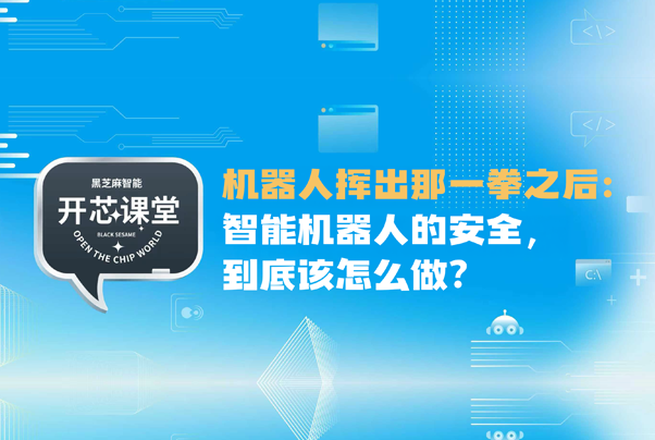 开芯课堂｜机器人挥出那一拳之后：智能机器人的安全，到底该怎么做？