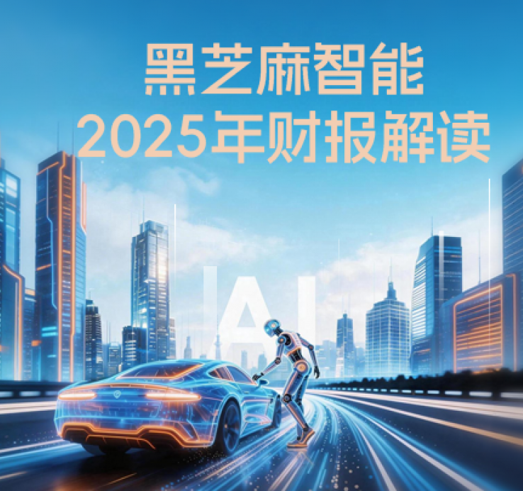 黑芝麻智能2025年财报解读：营收创历史新高，三大业务引擎协同驱动