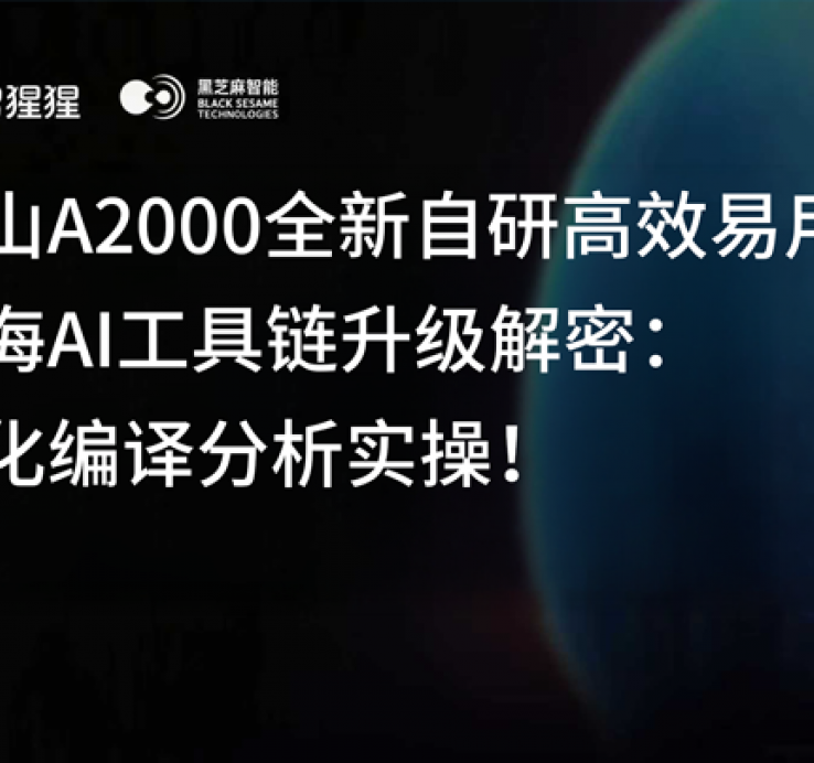 华山A2000全新自研高效易用山海AI工具链升级解密：量化编译分析实操！